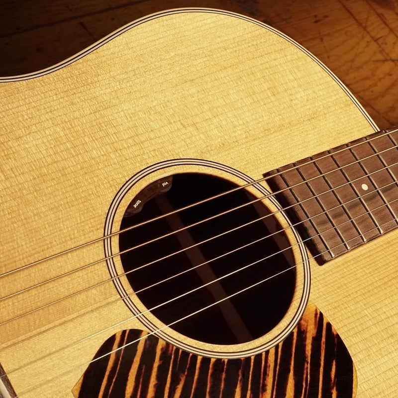 LR Baggs L.R. Baggs EAS Element VTC Active System for Acoustic Guitar - Image 2